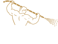 SSI Logo - white lettering transparent background-1